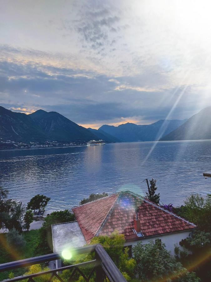 Apartment Funny Kotor Luaran gambar