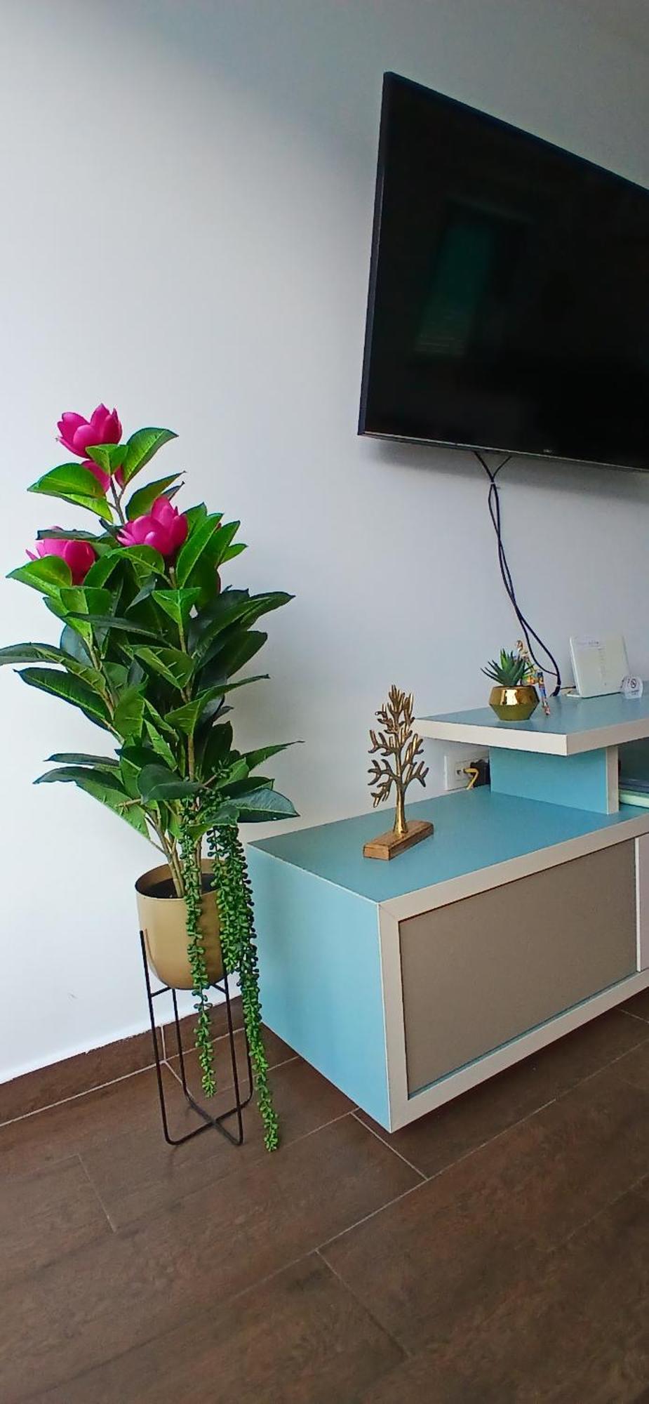 Apartment Funny Kotor Luaran gambar