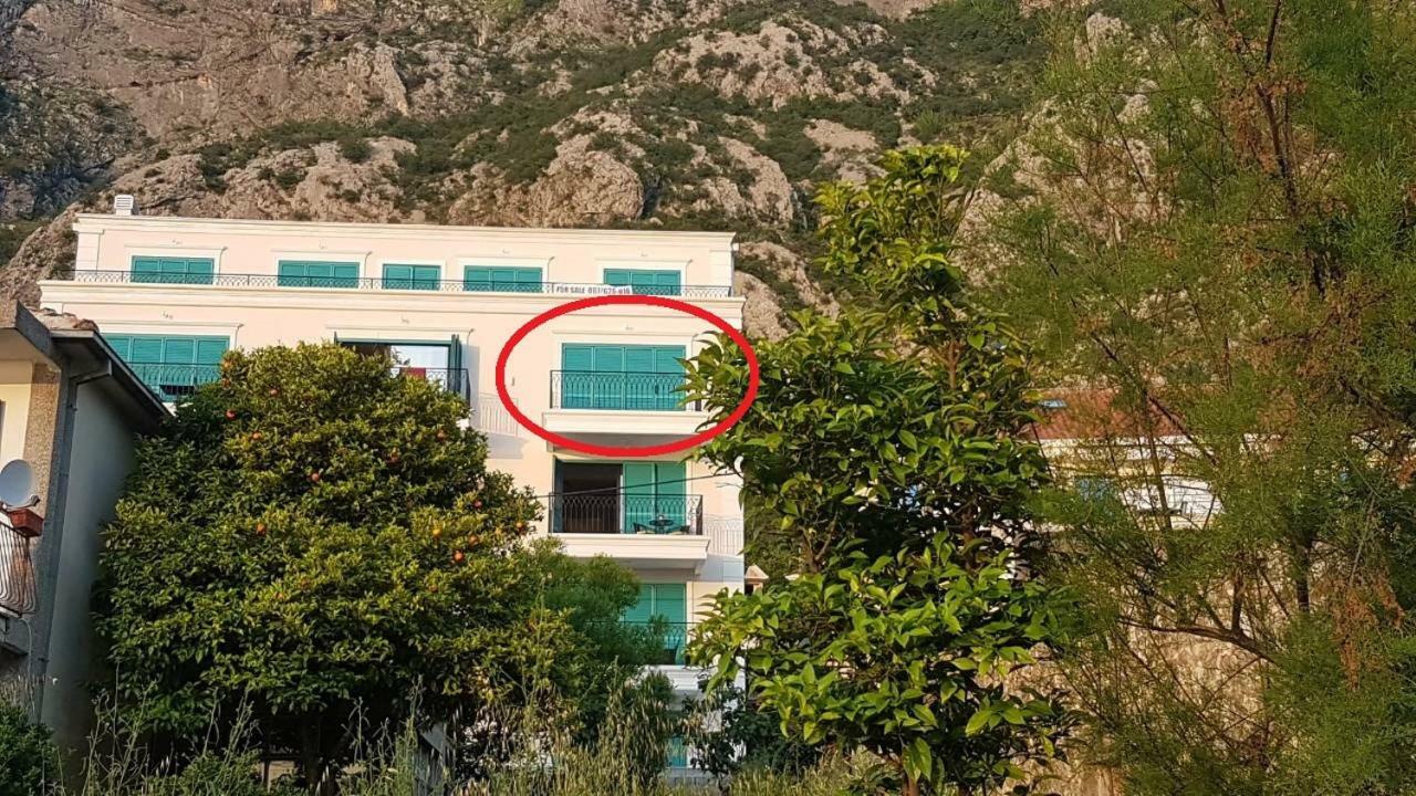 Apartment Funny Kotor Luaran gambar